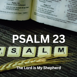 psalm 23 the lord is my shepherd